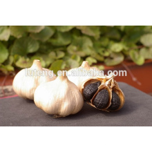 China Black Garlic para o mercado de Europa